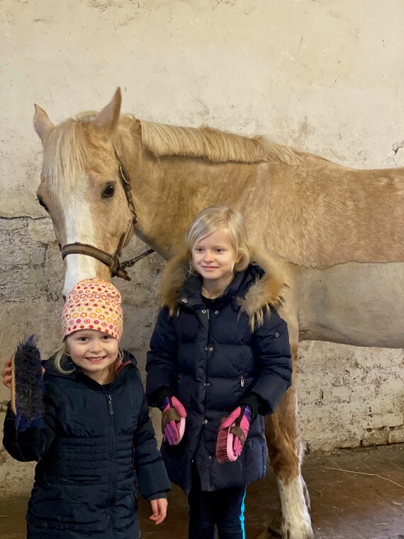 Angebote-Fuer-Kinder-Pferd-3
